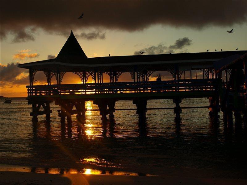 Starfish Halcyon Cove Hotel Dickenson Bay Екстериор снимка